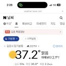 요아정제주 네이버블로그
