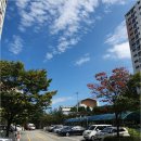 손오공손세차 | [내돈내산] 대전 서구 탄방동 손오공손세차장_ 27,000원으로 외부,내부 손세차 리얼 후기