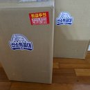 강아지폐수종에 꼭 필요한 노견용 [오투맥스 산소특공대] 강아지 산소방 추천
