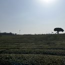 방주농원 이미지