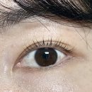 뷰티린 - 강서구 화곡로 194-26 | 화곡역속눈썹 펌 끝까지 자연스럽게 올려주는 뷰티린 후기
