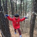 구립은행나무어린이집 이미지