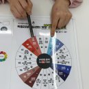 오버뎁스 | 양재 &#39;퍼스널컬러 퍼스널블라썸&#39;에서 가을웜뮤트 진단받고 온 후기