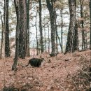 근린공원(게이트볼장옆)화장실 이미지