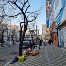 금호프라자약국 이미지