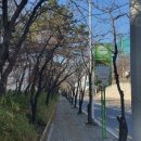 마포우리공인중개사사무소 이미지