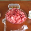 복중농장 이미지