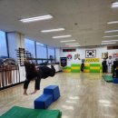 불사조 체육관 이미지