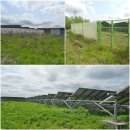 서광 태양광발전소 이미지