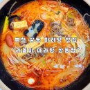 [부천 맛집] 부천 상동역 새로 생긴 마라탕 맛집 “라돌이 마라탕 상동점” 후기