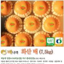 배Gap