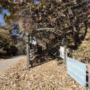 치악산둘레길 1코스 꽃밭머리길 | 치악산 둘레길 1코스(꽃밭머리길)