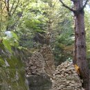 바우목장 이미지