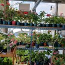 리라약국 이미지