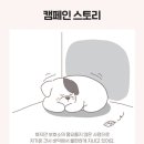 개좋다냥 - 중랑구 봉우재로 212-8 | 개좋다냥