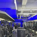 뉴데이짐 PT | 안 변하는 이유?헬린이 남성을 위한 근성장 정체기 탈출 루틴 공개 ㅣ 매탄동 뉴데이짐 PT 이강문트레이너