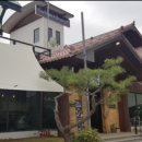 악어화장실 이미지