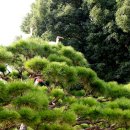 창녕군청 이미지