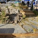 레메디움 이미지