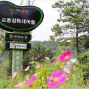 교동장독대마을회영농조합법인 네이버블로그
