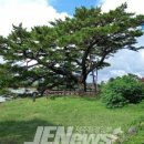 수산리-8 이미지