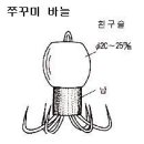 갑오징어 루어 낚시 이미지