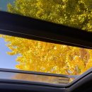 책속에풍덩Terrace | 가을여행 양평 감성 독채 펜션 "책속에 풍덩" 벽난로 인생샷 - terrace1,terrace2 룸타입 비교!