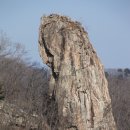 신우태양광발전소 이미지