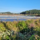 동주로(동주길) 이미지