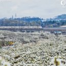 용연리마을회관 | 국내 여행 추천 '눈물의 여왕' 국내 촬영지