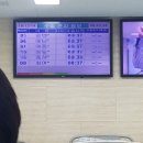 진도이비인후과의원 | 목포 코앤소리 이비인후과 중이염 외이도염 비염 이어포퍼(ft. 튜브 삽입 시술 후기)