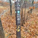 온수리(터미널) 이미지