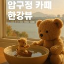 압구정한강한의원 네이버블로그