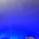 모토렌 | 서치모스 내한 공연 후기 : Suchmos is Back!