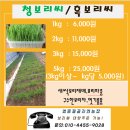 창리정미소 이미지