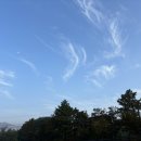 진안 hami숲 이미지