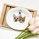 다원 동물병원 이미지