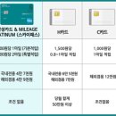 스카이플래티늄항공 이미지