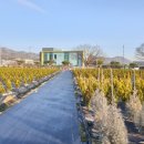 동트는농원 이미지