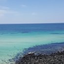 애월초등학교 이미지