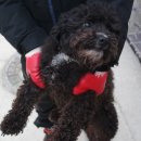 서창파출소 이미지