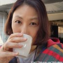국내 당일여행 강원도 가볼만한곳 횡성 노아의숲
