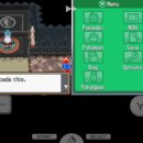 드레곤체육관 이미지