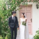 푸릇푸릇스튜디오