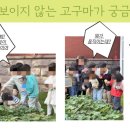 무석 농장 이미지