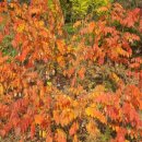 당구클럽 향기 이미지