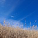 방이수약국 이미지