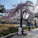 서쪽 하늘아래 반짝이는 효성마을 | 인천 아이와 실내 가볼 만한 곳 별똥별 어린이 도서관