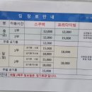 올림픽수영장 이미지