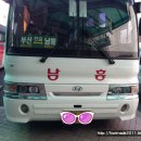 광양공용버스터미널 이미지